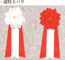 ������o��